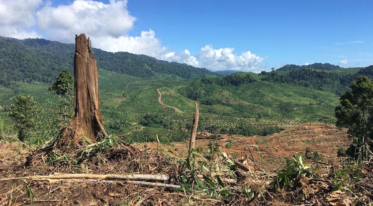 Government accused of lying over SABL land grab