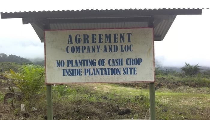 Dirty SABL Palm Oil to hit the International Market