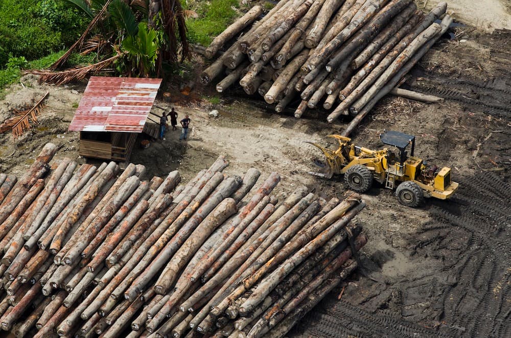 PNG landowners look ahead after SABL order