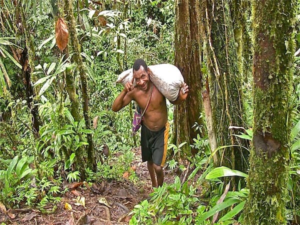 Not Destructive Development