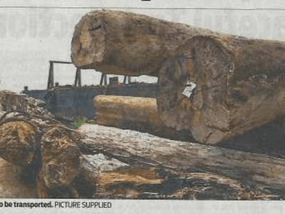 CEPA stops Kulawood operations on Woodlark Island