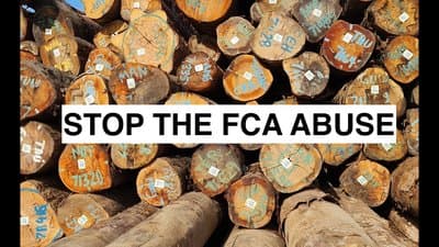 The FCA forest grab