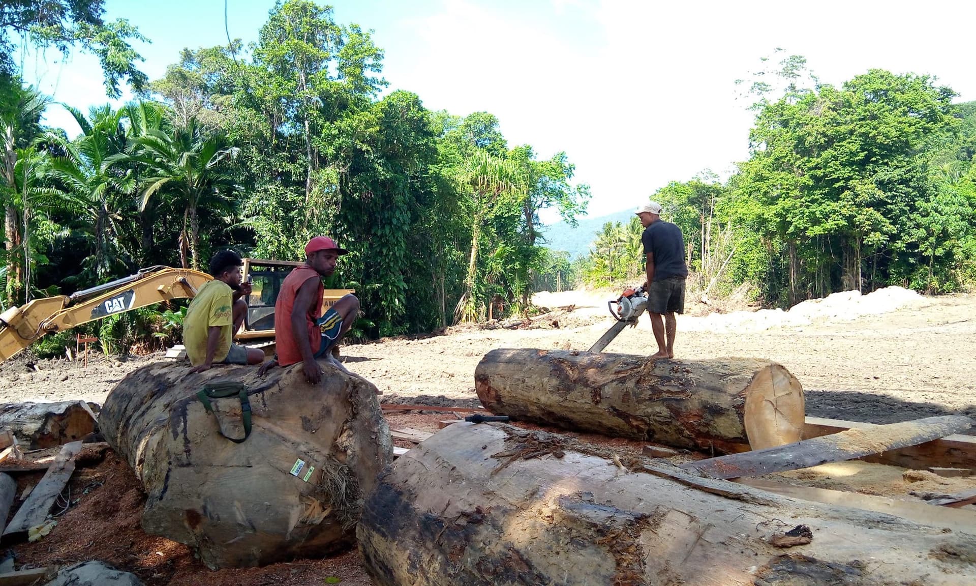 Logs being cross cut