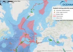 Oceana calls for an end to deep sea mining