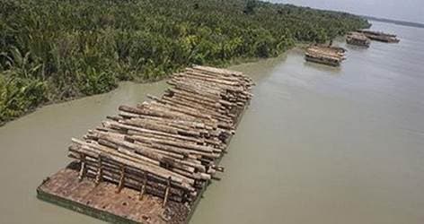 Loggers have to "show and tell"