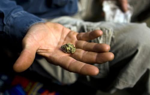 This could be a Bermuda Gold Rush