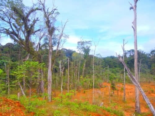 Spot the difference...