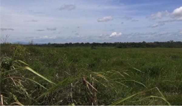 The Protection of the Customary Rights of the Sausso People