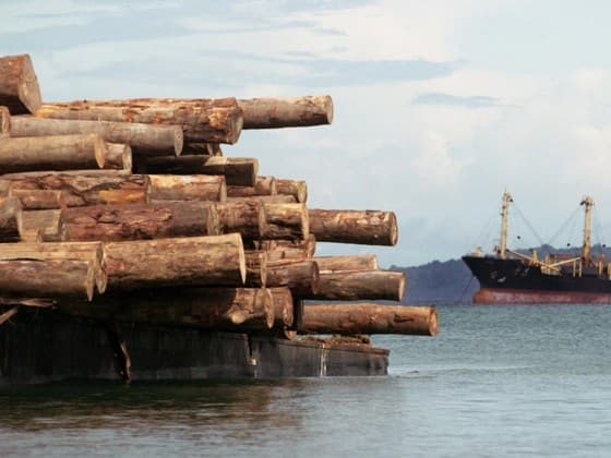 Politicians and business at the centre of organised crime