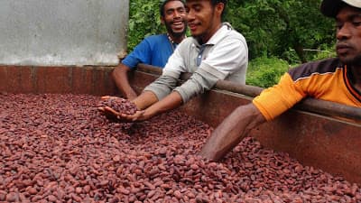 On the rise: Morobe's people driven cooperatives