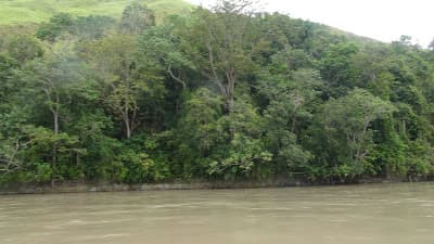 On the rise: Morobe's people driven cooperatives