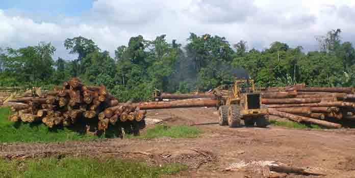 Court revokes SABL leases