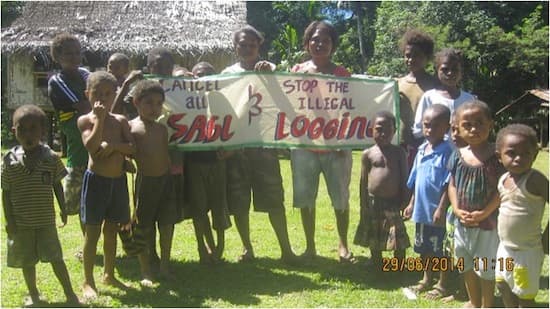 Forest Authority not stopping illegal logging in SABL areas