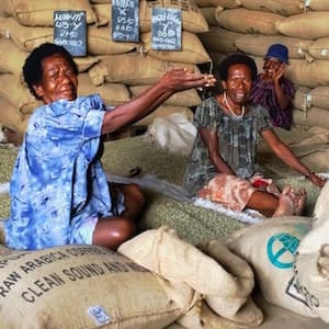 Why family owned businesses must be supported by Govt