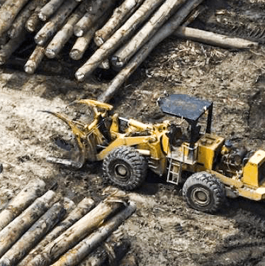 Why is PNGFA on SABLs ?