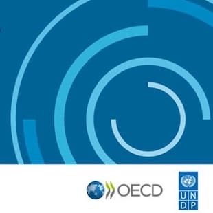 OECD auditors to crack down on tax evasion by loggers 