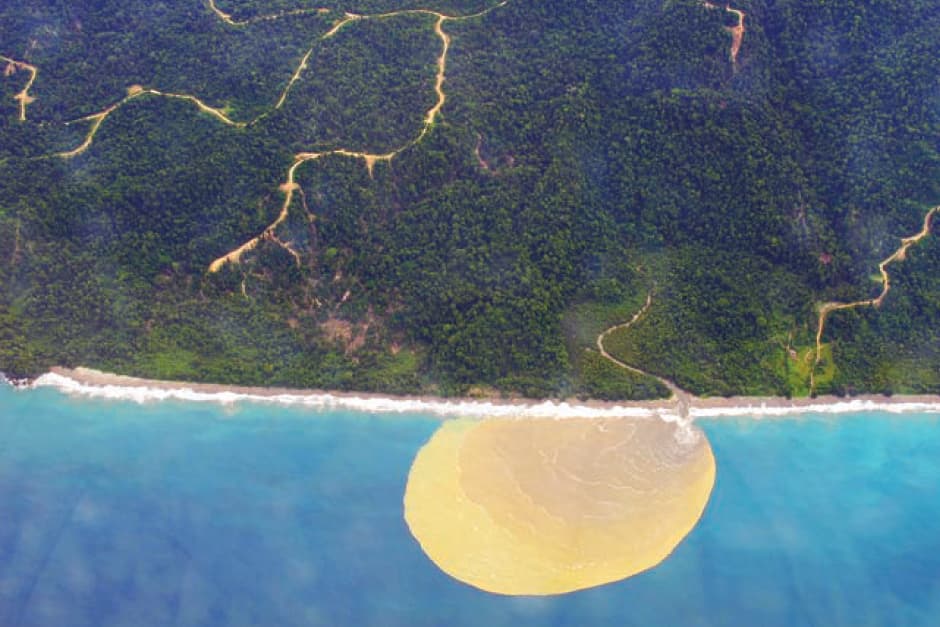 Losing Papua New Guinea's rainforest