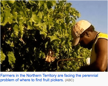 Debt bondage for workers in Australian horticulture akin to slavery, inquiry hears