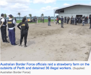 Debt bondage for workers in Australian horticulture akin to slavery, inquiry hears