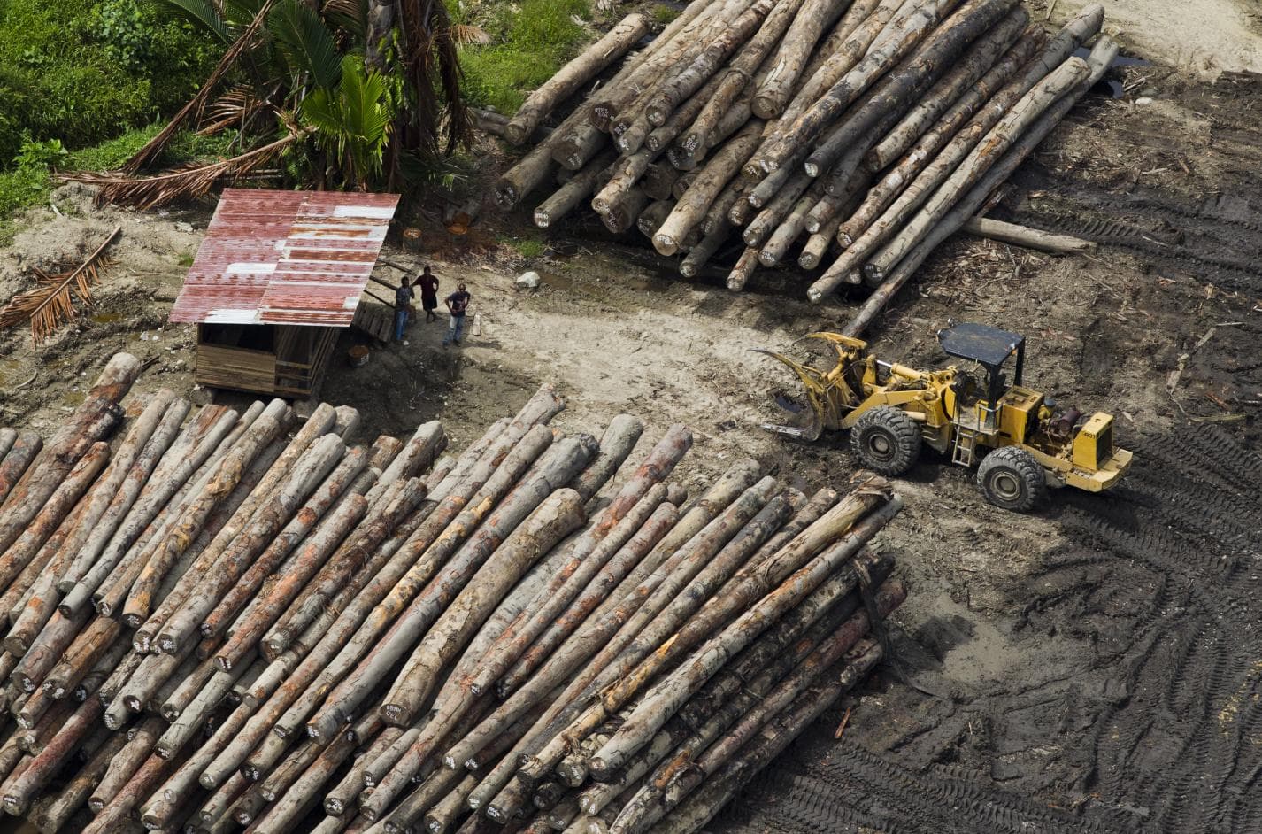 What is happening to our beautiful country?