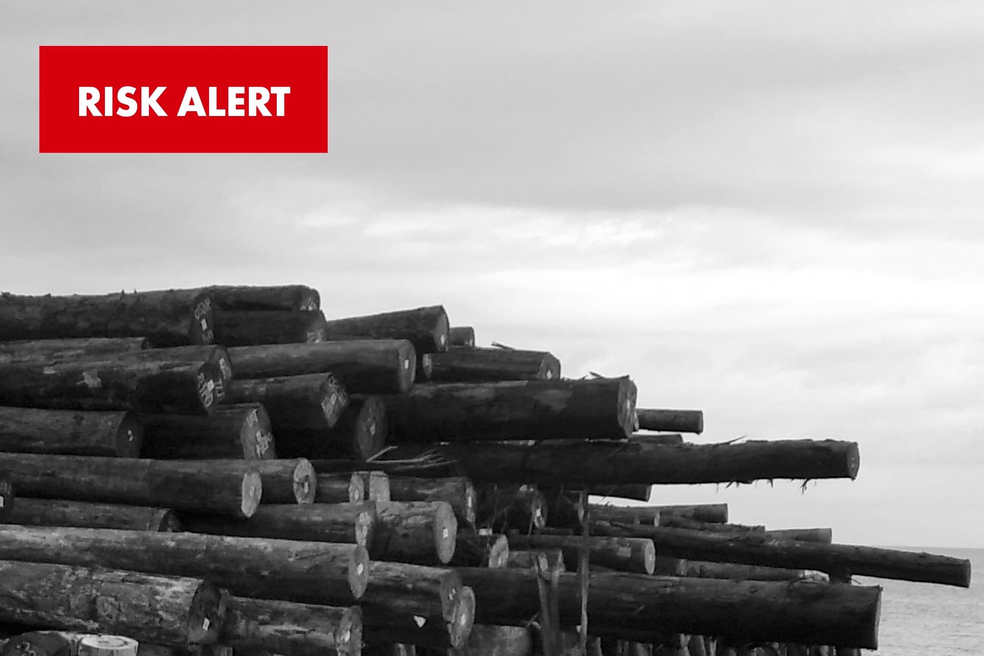 New forestry sector Risk Alert highlights compliance risks linked to KK Connections Group