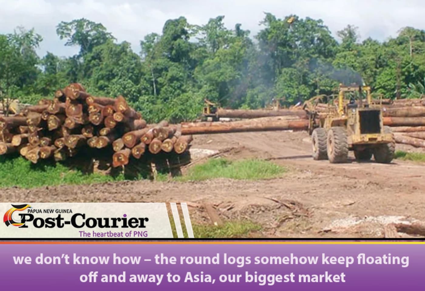 Logs being stacked ready for export