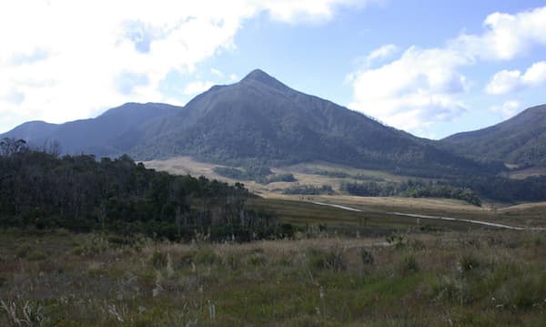 LNG project that promised economic boom leaves PNG in ‘worse state’: report