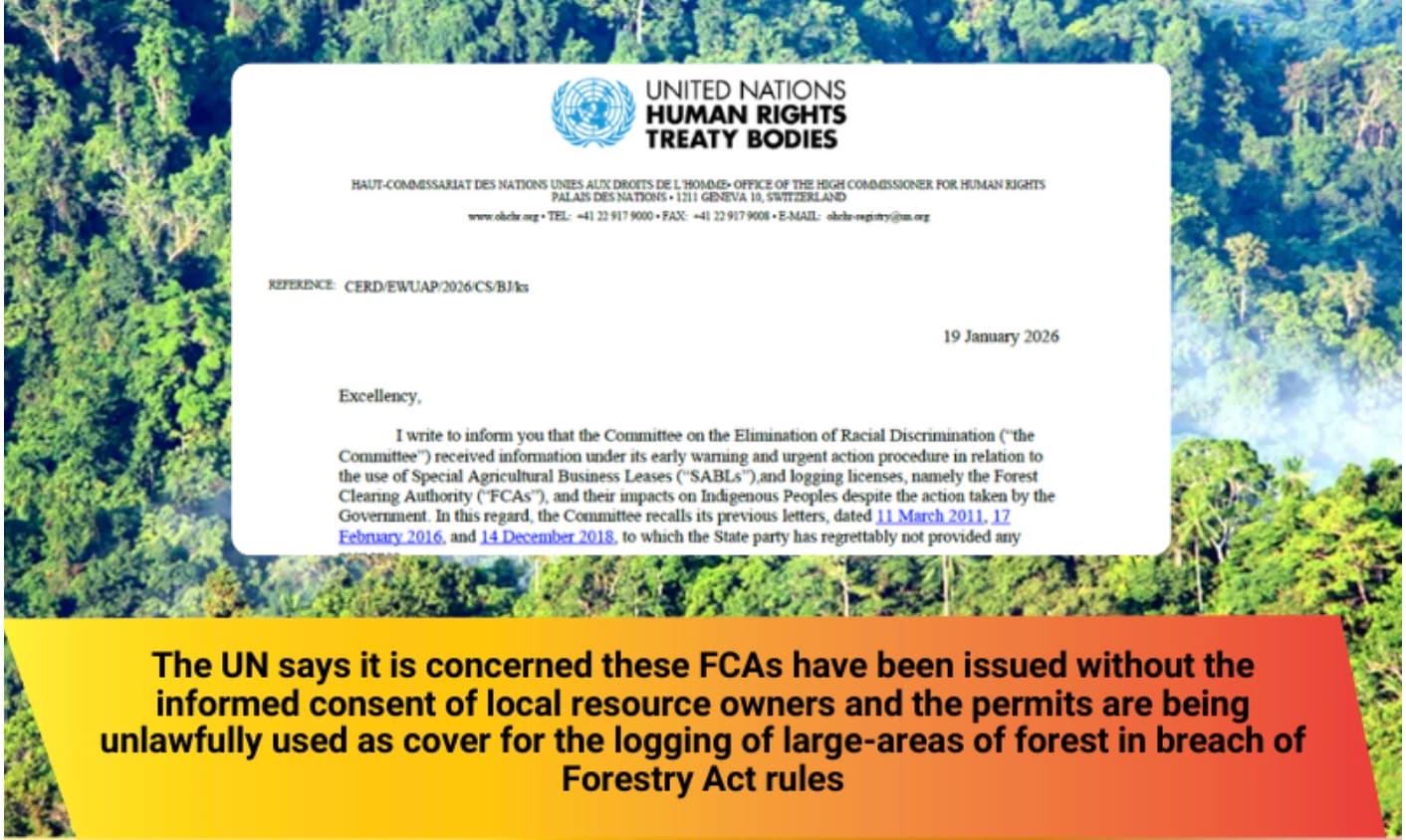 Meme showing part of the UN letter against a background on a forest canopy