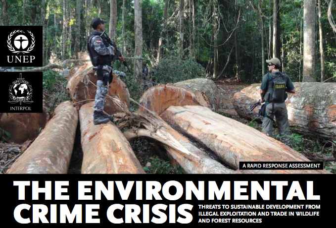 United Nationa Report puts SABL land grab and illegal logging in a global context