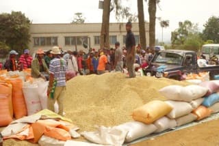 State of Origin Brings Coffee Beans to Town