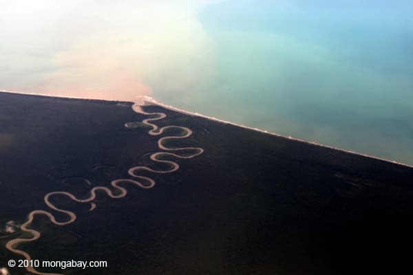 Illegal logging makes up 70 percent of Papua New Guinea's timber industry