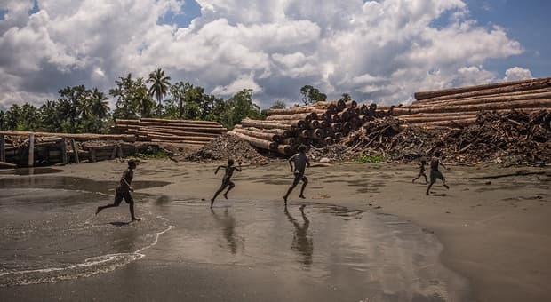 Stealing The Great Rainforests Of PNG