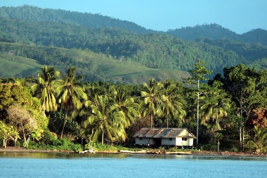 Papua New Guinea Tribes Under Threat from Conflict Palm Oil