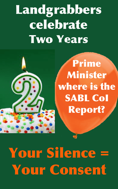 Landgrabbers celebrate two years since CoI started