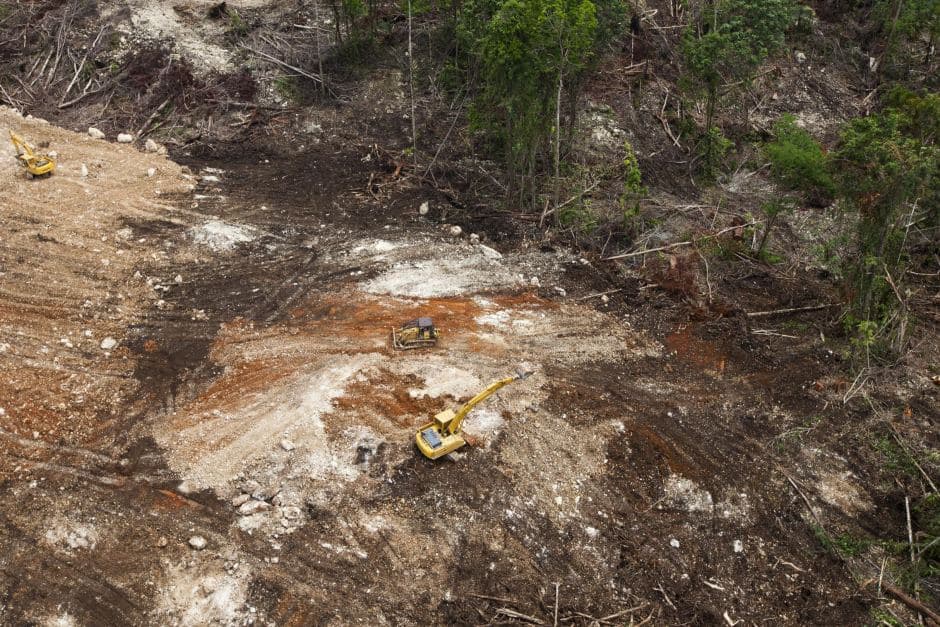 PNG Commission Told of Land Thefts