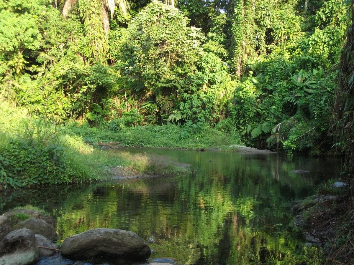 Condoms & Baby Products