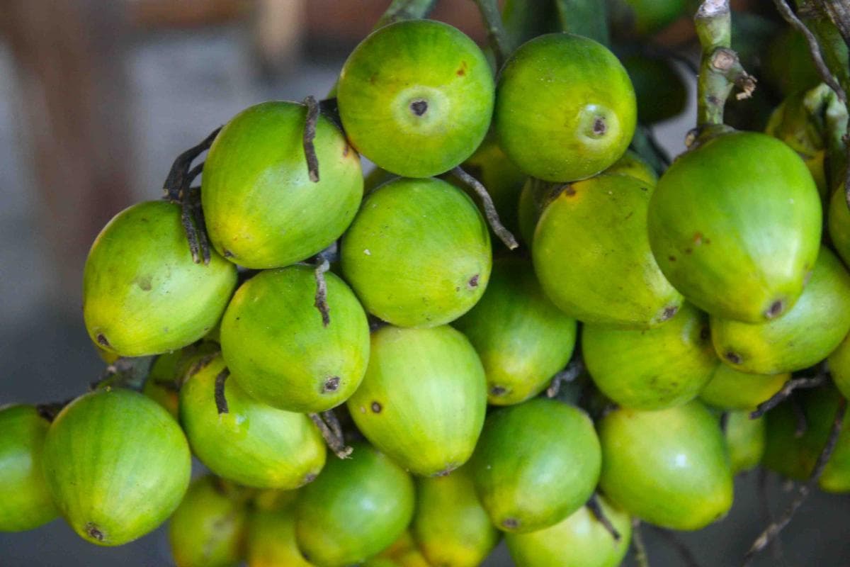 Money making 'OUR' way