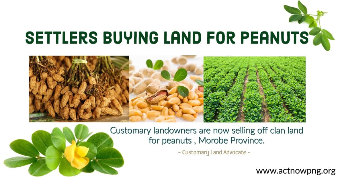 Settlers Buying Off Customary Lands for Peanuts