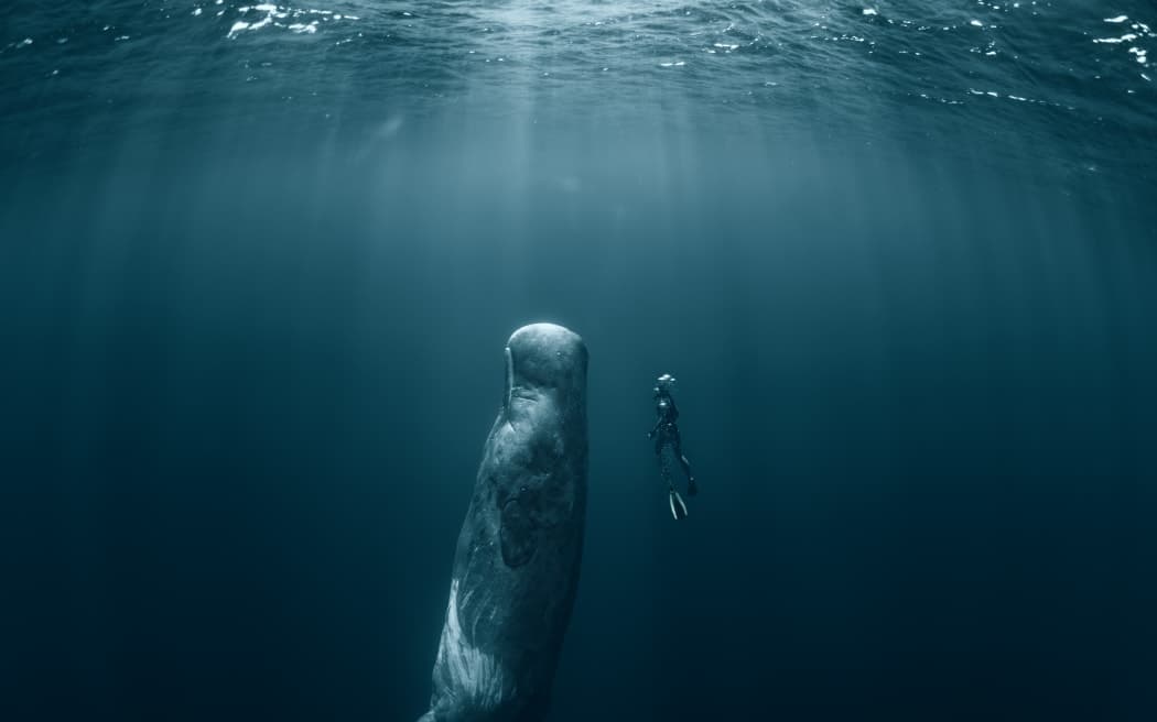 Calls for PNG government to make its position on deep sea mining clear