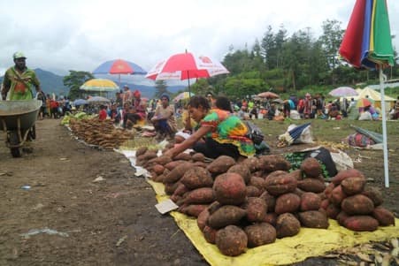 Unrecognised Wealth of Customary Land