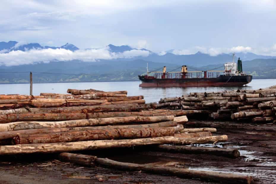 Govt claims on reducing export logging don’t stack up