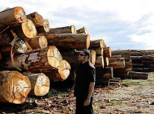 Civil Society Petitions Parliament to Stop Illegal Logging