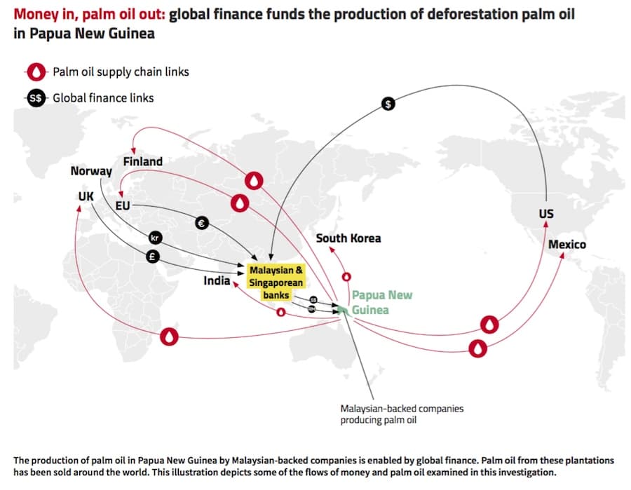 Human rights abuses and bribery taint palm oil produced in Papua New Guinea