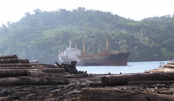 PNG round log export ban: Plagued by poor political will