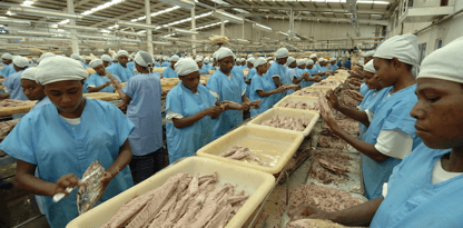 Purse Seine Fishing Technique is Draining PNG's Tuna