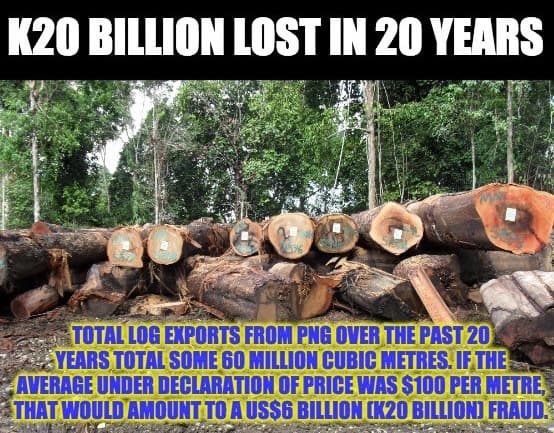 Call for Forest Authority to ban tax evading logging companies