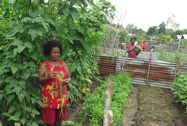 What are the lessons? Seeing the COVID-19 crisis through a PNG lens