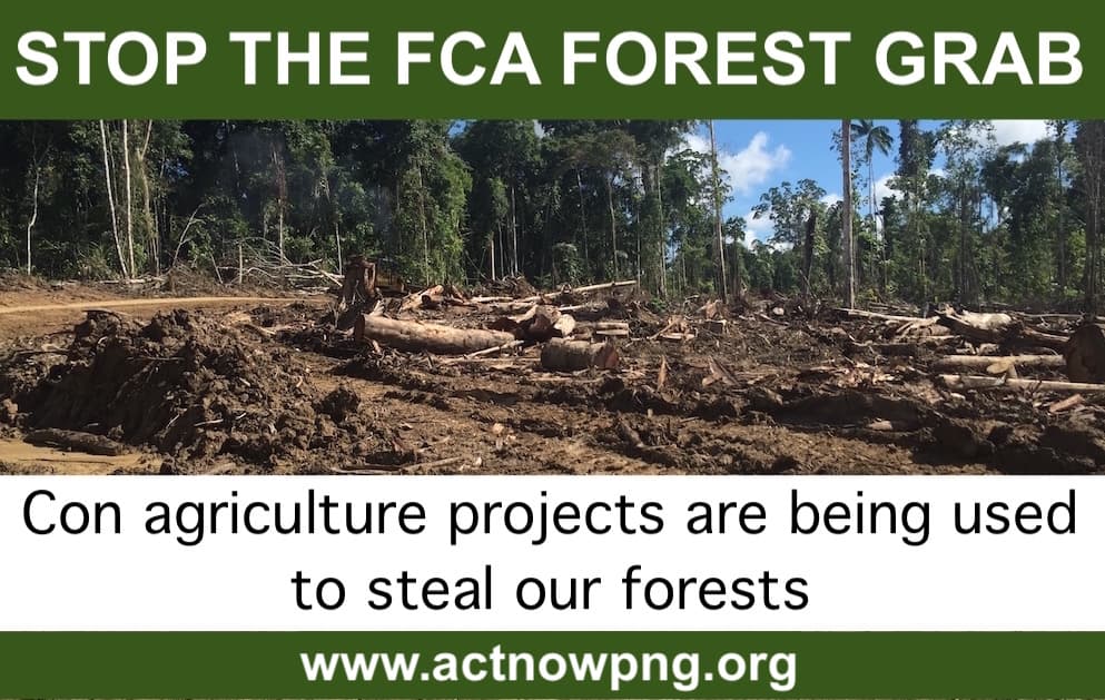 Forest Board delaying action on illegal FCA logging