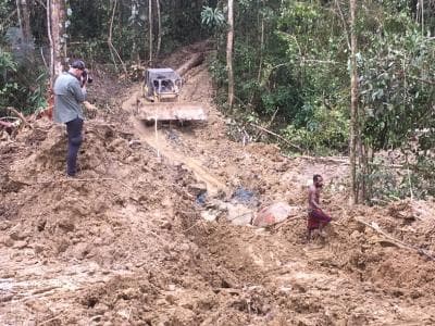 The Plight Of PNG's Oil Palm Workers