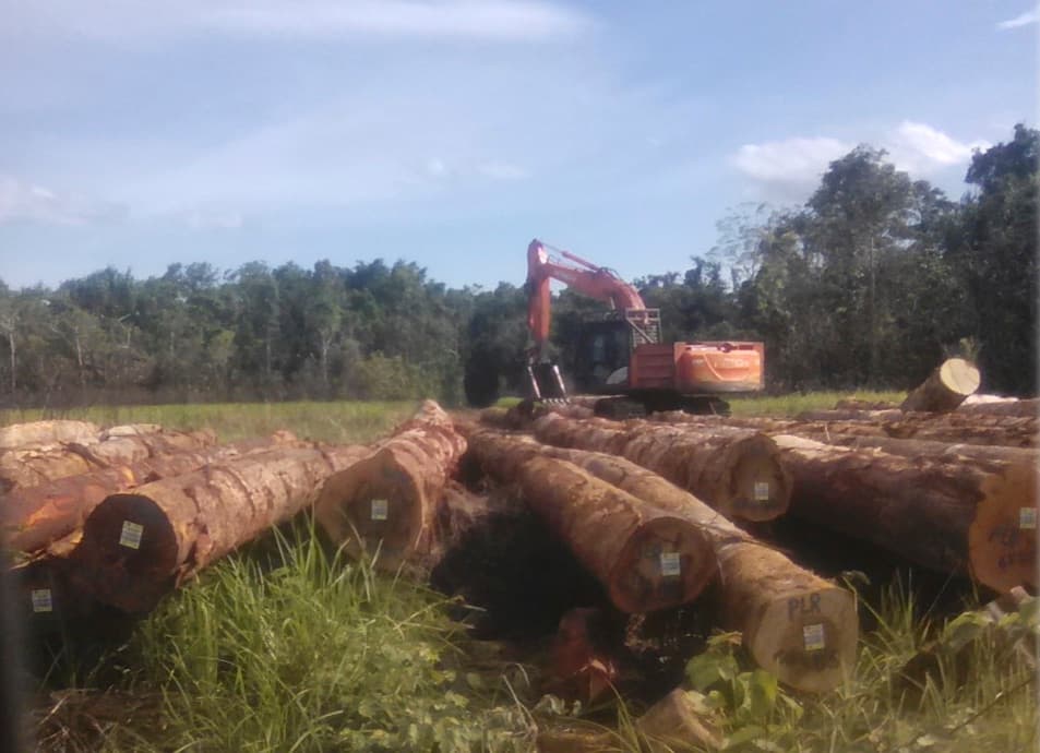 Landowners petition to stop logging in Turubu and Sausso LLGs